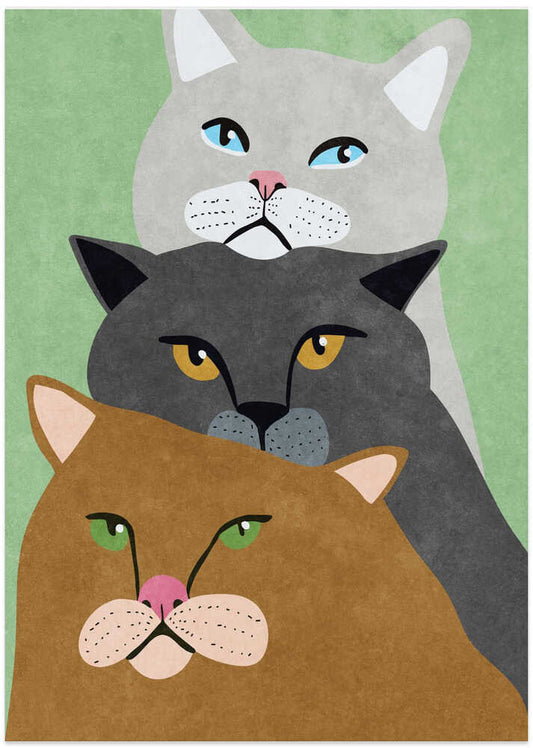 Cat Trio – B2B