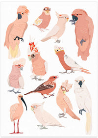 Whimsical Birds with Glasses – B2B