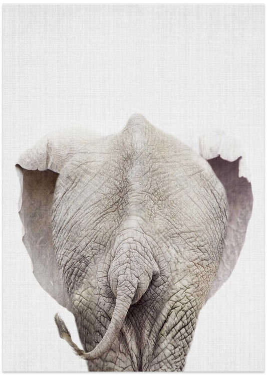Baby Elephant Back View – B2B
