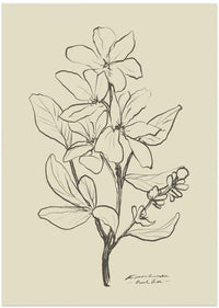 Floral 1 – B2B