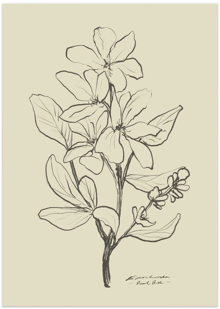 Floral 1 - XL Poster