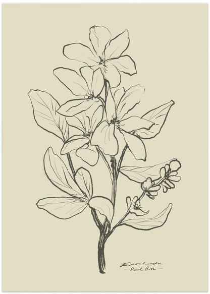 Floral 1 - XL Poster
