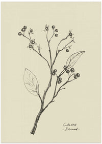 Floral 2 – B2B