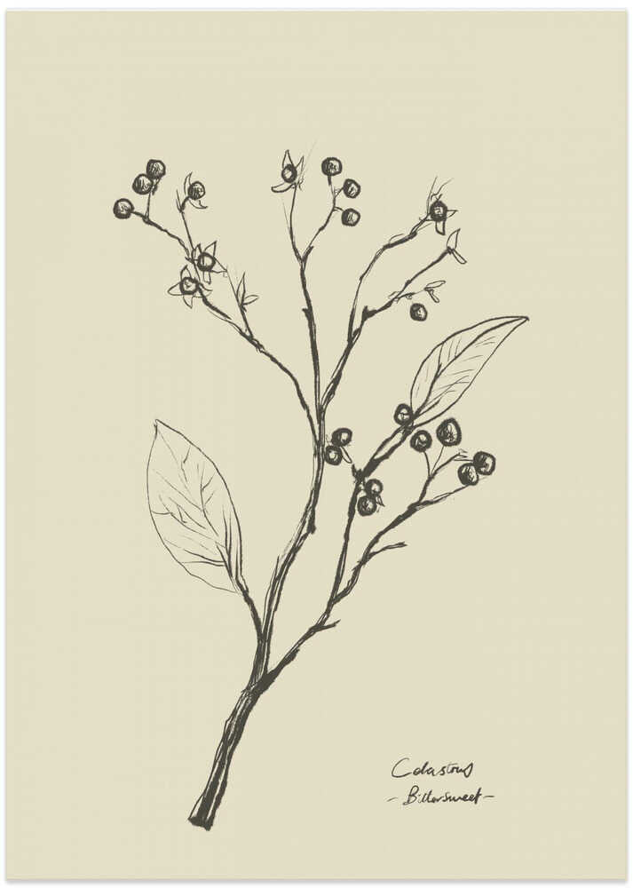 Floral 2 - XL Poster