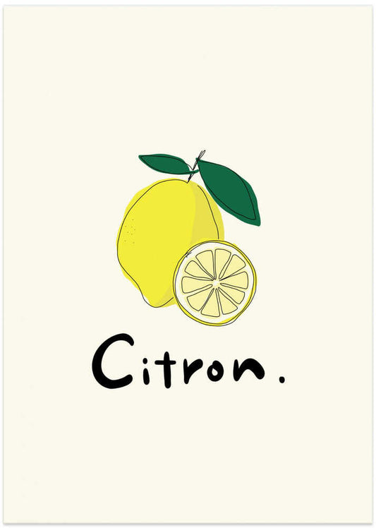 Fresh Lemon Illustration – B2B