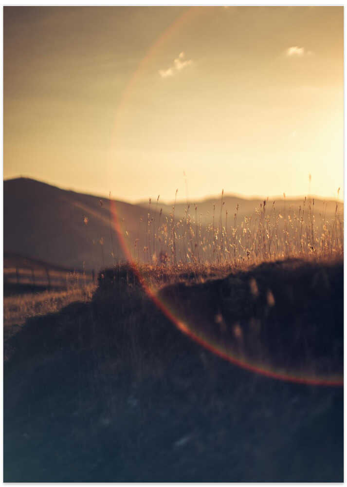 Golden Horizon Glow – B2B