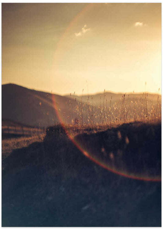Golden Horizon Glow – B2B