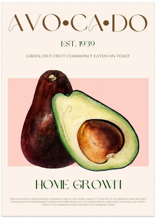 Botanical Avocado Duo – B2B
