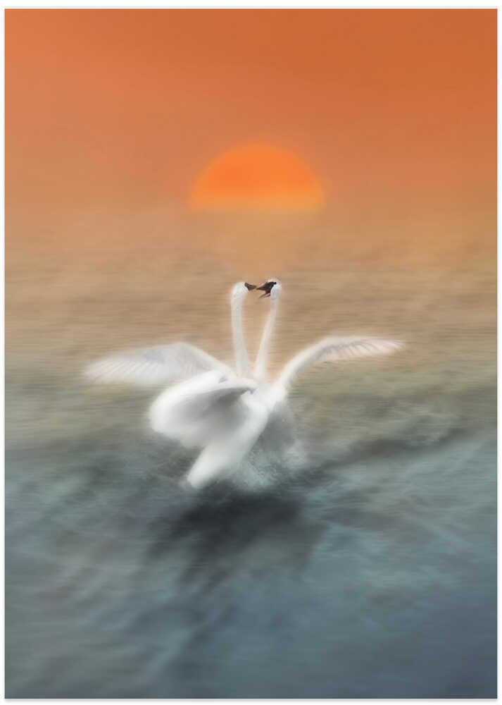 Dancing with light – B2B