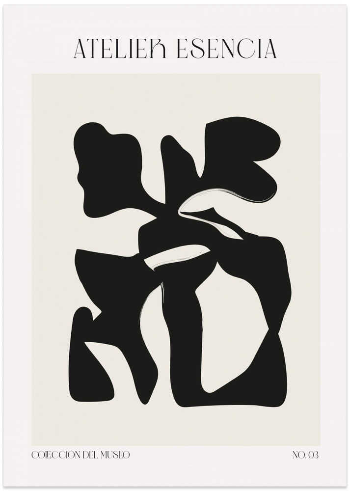 Fluid Silhouette – B2B