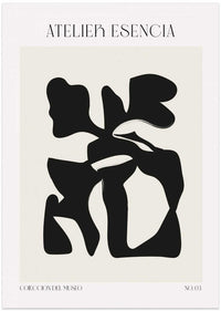 Fluid Silhouette – B2B