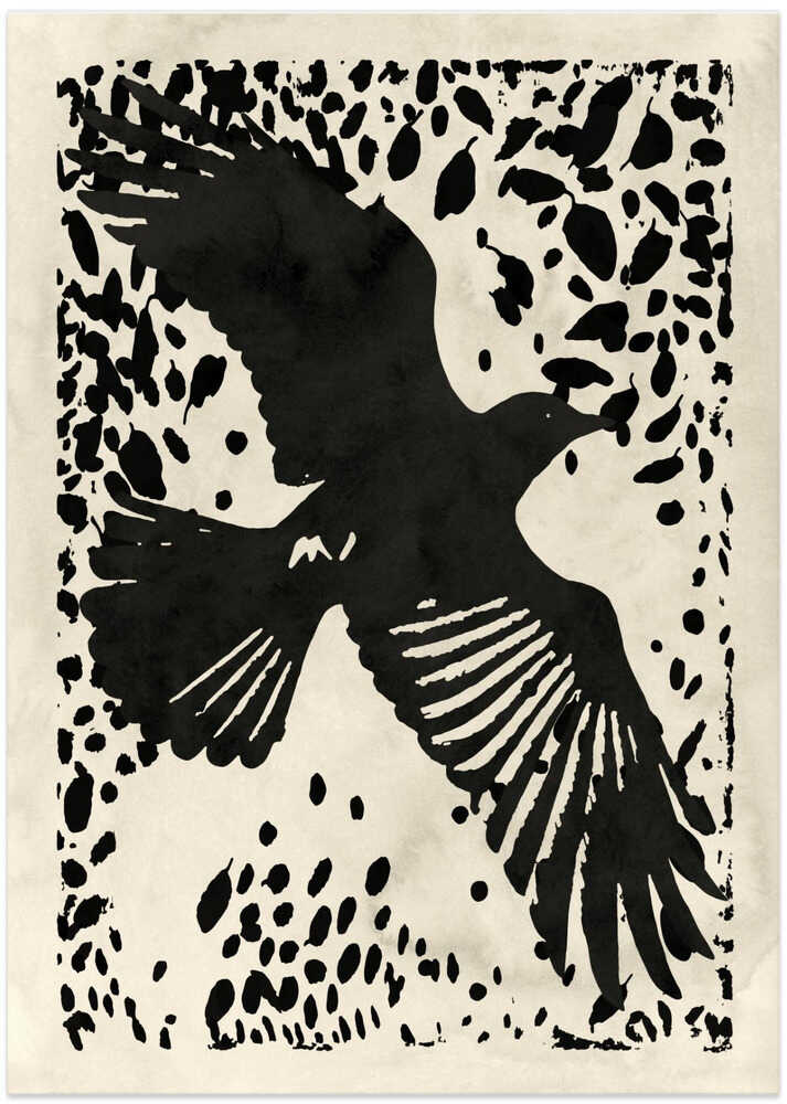Dark Raven Soaring – B2B