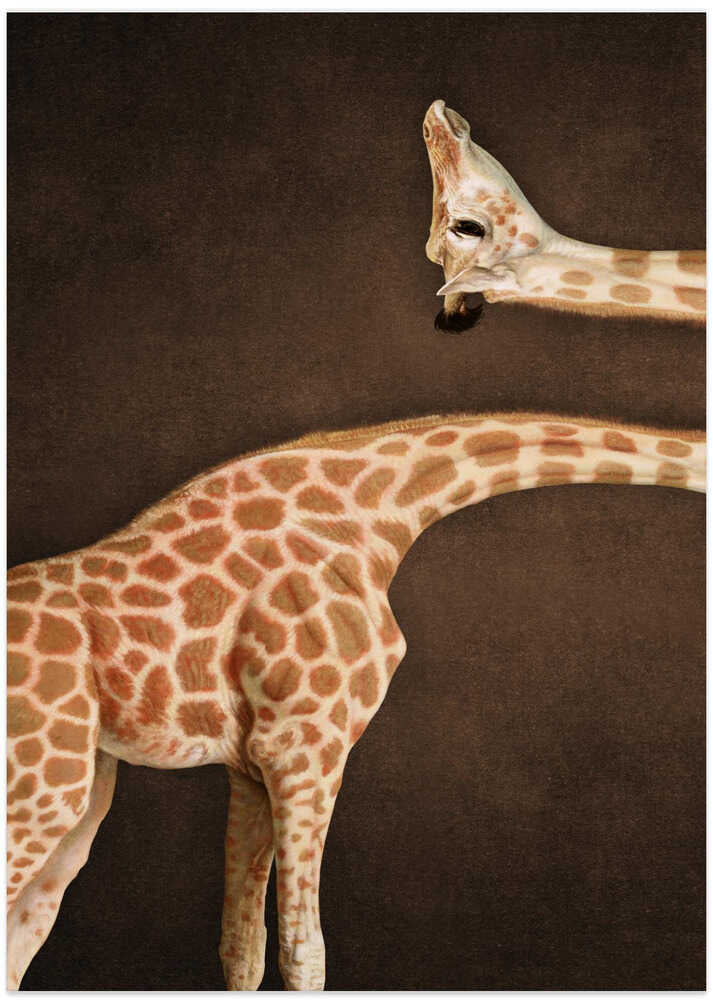 Spotted Giraffe Grace – B2B