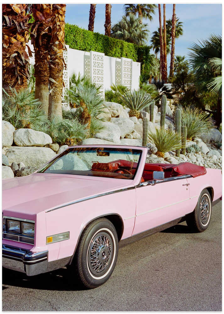 Palm Springs Ride – B2B