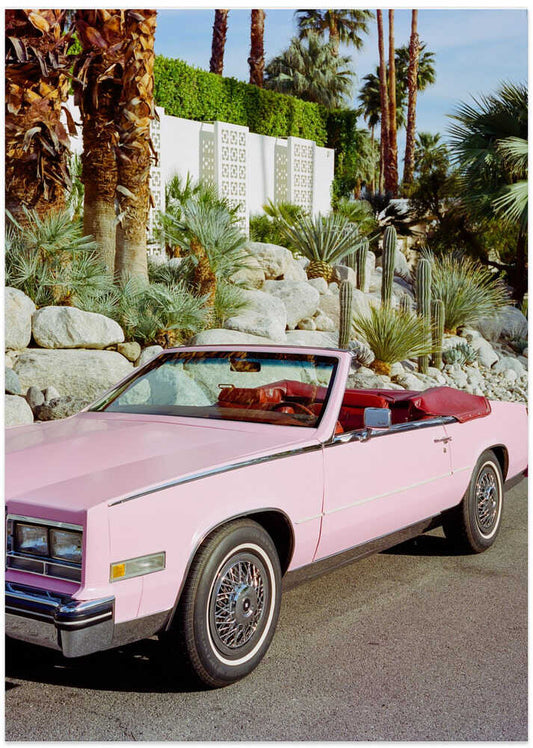 Palm Springs Ride – B2B