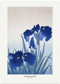 Iris Flowers Poster By Ohara Koson – B2B