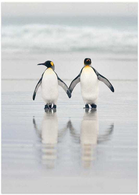 Friends – B2B