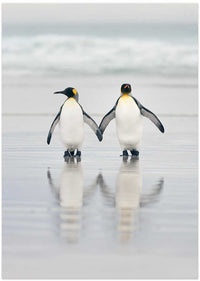 Loving Penguin Couple – B2B